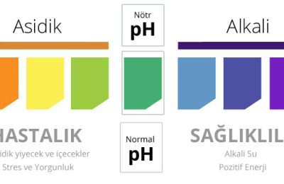 Alkali Diyeti