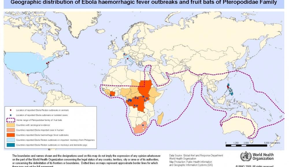 ebola virüsü