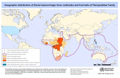 ebola virüsü