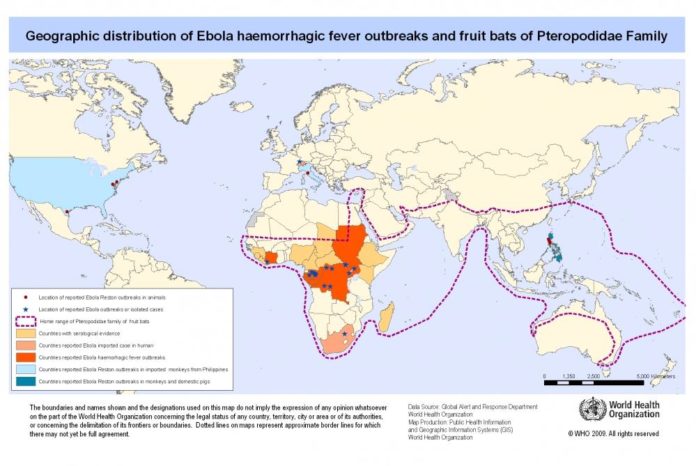 ebola virüsü