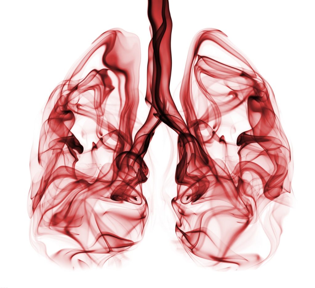 akciğer