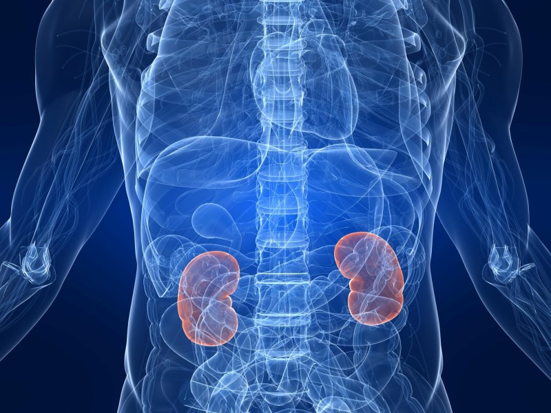greg_kidney