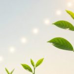 Mikro Alışkanlıkların Gücü Sağlıklı Yaşamı Adım Adım Nasıl İnşa Edersiniz?
