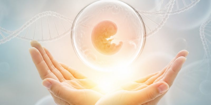 Tüp Bebek Sürecinde Doğru Bilinen Yanlışlar Umutlarınızı Nasıl Yükseltir?