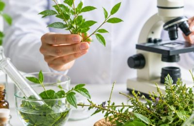 Şifalı Bitkileri Kullanırken İpin Ucunu Kaçırmamak İçin Ne Yapmalı?