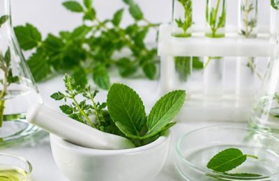 Şifalı Bitkilerle Sağlığa Giden Yolculuk Bilim Onları Nasıl Onaylıyor
