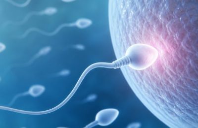 Spermlerinizin Gizli Dünyası Üreme Sağlığınız Hakkında Ne Söylüyor?