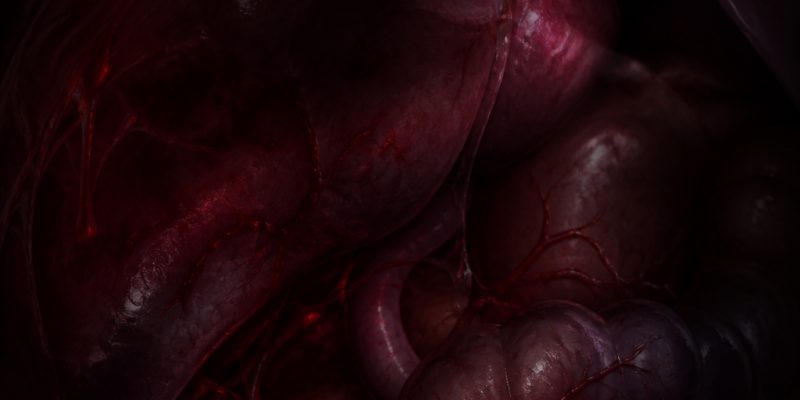 İç Kanama Bedenin Sessiz Fısıltısı